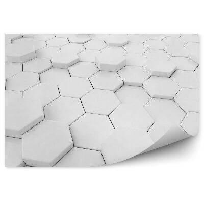 Papier peint Hexagones 3d en perspective