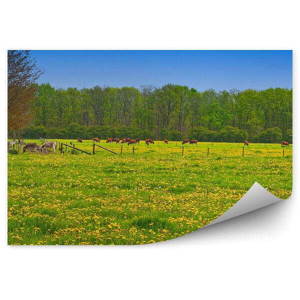 Papier peint Pré Vaches laitières Chevaux Arbres