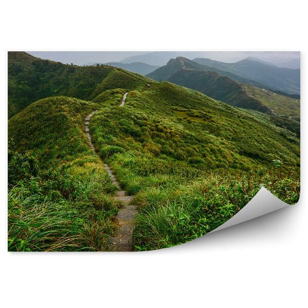 Papier peint Marches sur la route Collines vertes Nuages