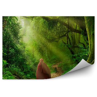 Papier peint Personnage Voyageur Arbres Chemin Végétation