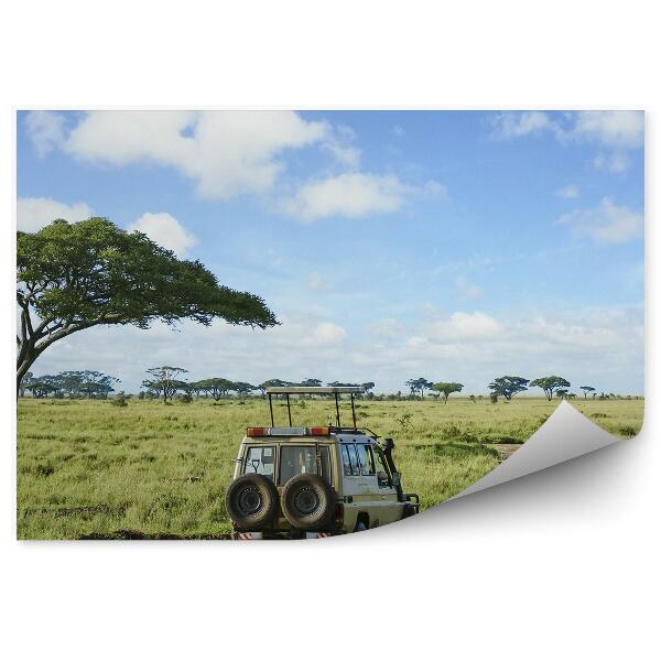 Papier peint Voiture tout terrain Arbre Herbe Flaques Route Ciel Nuages Safari