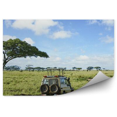 Papier peint Voiture tout terrain Arbre Herbe Flaques Route Ciel Nuages Safari