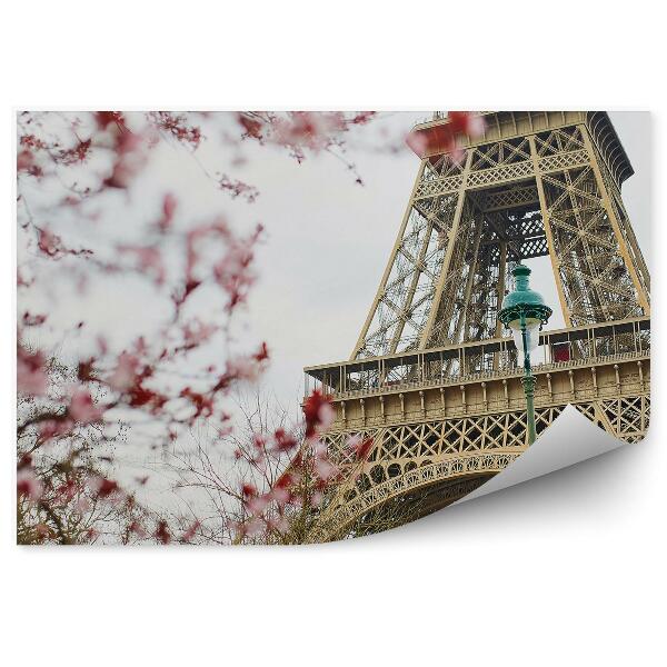 Papier peint Cerisiers en fleurs Tour Eiffel Lampes Arbres Paris France