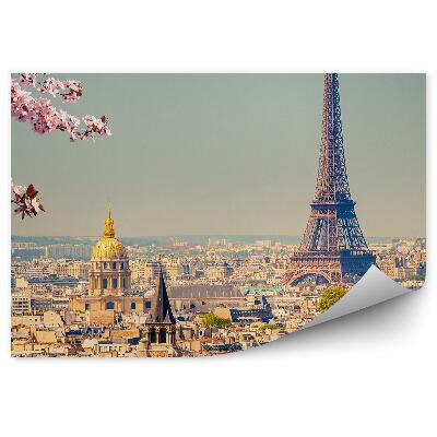 Papier peint Fleurs fleurissant sur un arbre ligne d'horizon de la ville de paris