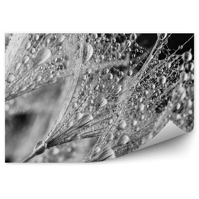 Papier peint Sarbacane à goutte d'eau