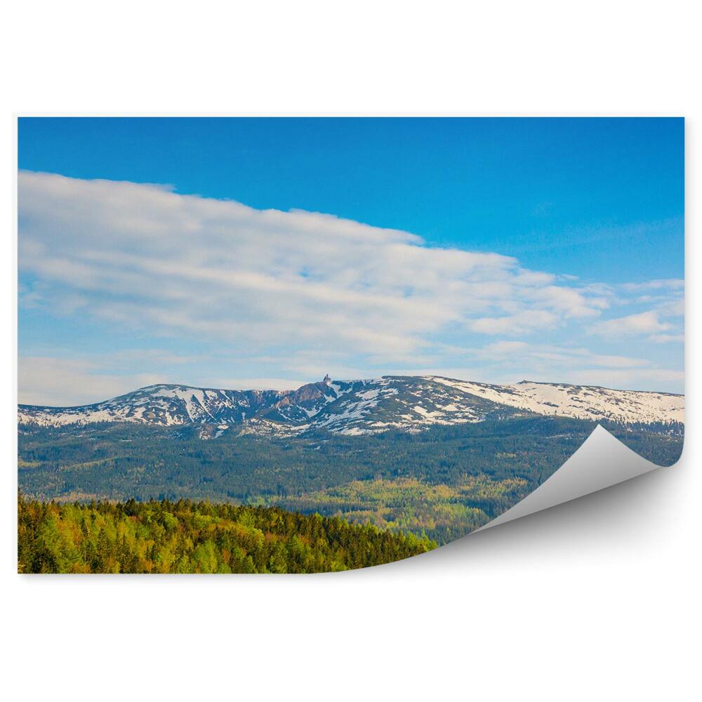 Papier peint Forêts Vertes Paysage De Montagne Krkonoše