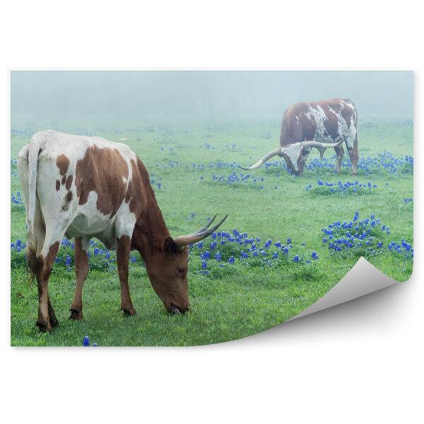 Papier peint Vache Pré Bétail Fleurs Herbe Brume