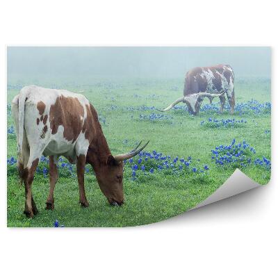 Papier peint Vache Pré Bétail Fleurs Herbe Brume