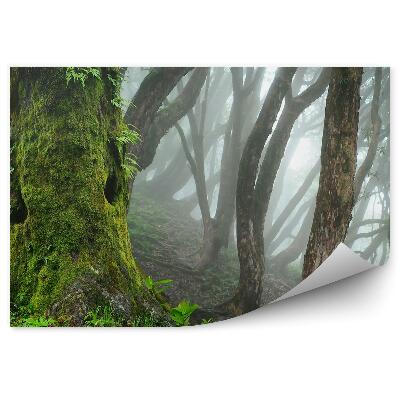 Papier peint Lac De Forêt Tropicale