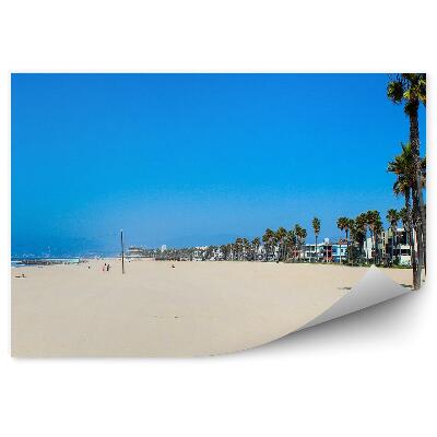 Papier peint Plage sable eau été palmiers