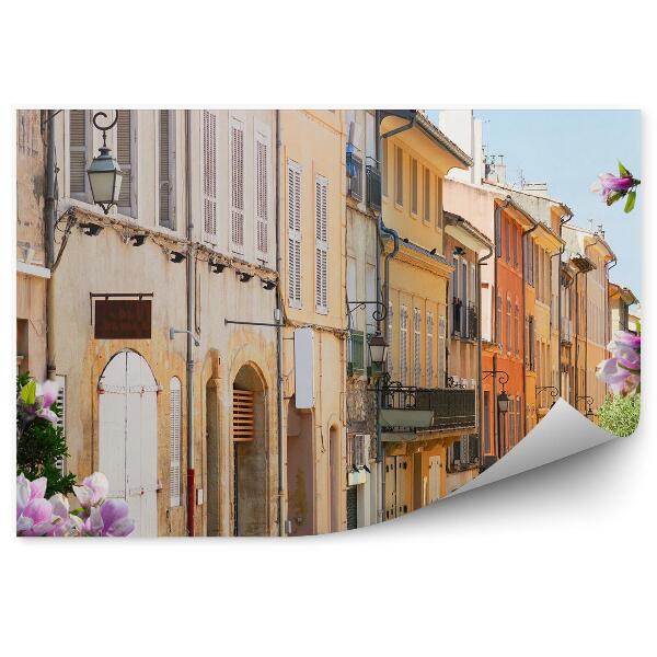 Papier peint Vieille ville Magnolias Avenue Provence France