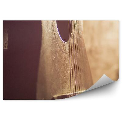 Papier peint Guitare acoustique murale