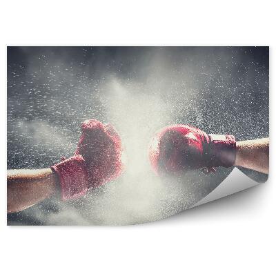 Papier peint Gants de boxe pluie