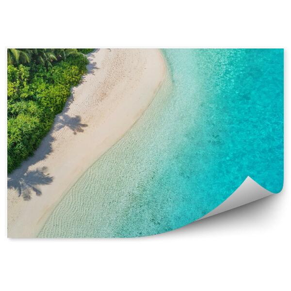 Papier peint Plage tropicale maldives palmiers eau