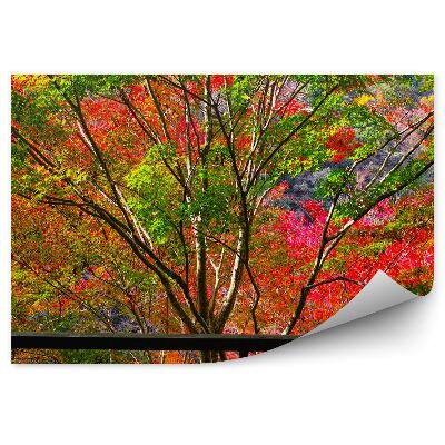 Papier peint Neige D'hiver Arbres De Noël Vue Sur Le Sentier À L'extérieur De La Fenêtre Maison