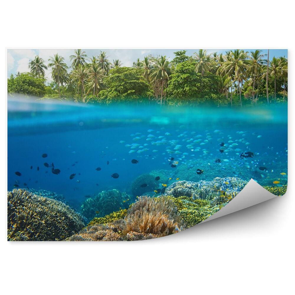 Papier peint Poisson Récif corallien Palmiers tropicaux Ligne de flottaison