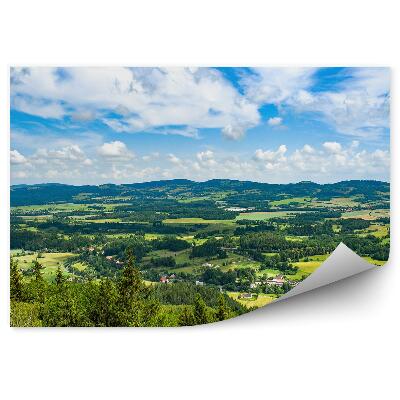 Papier peint Paysage De Montagne Vert Village Arbres