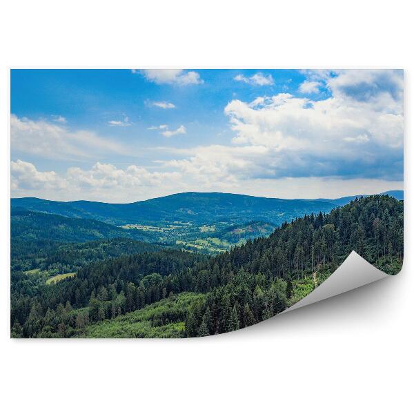 Papier peint Forêts De Montagne, Végétation Verte Dans Les Monts Des Géants