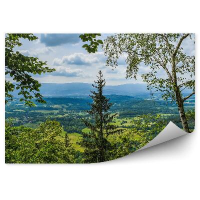 Papier peint Vue De La Forêt Sur Les Villages Des Clairières Des Montagnes