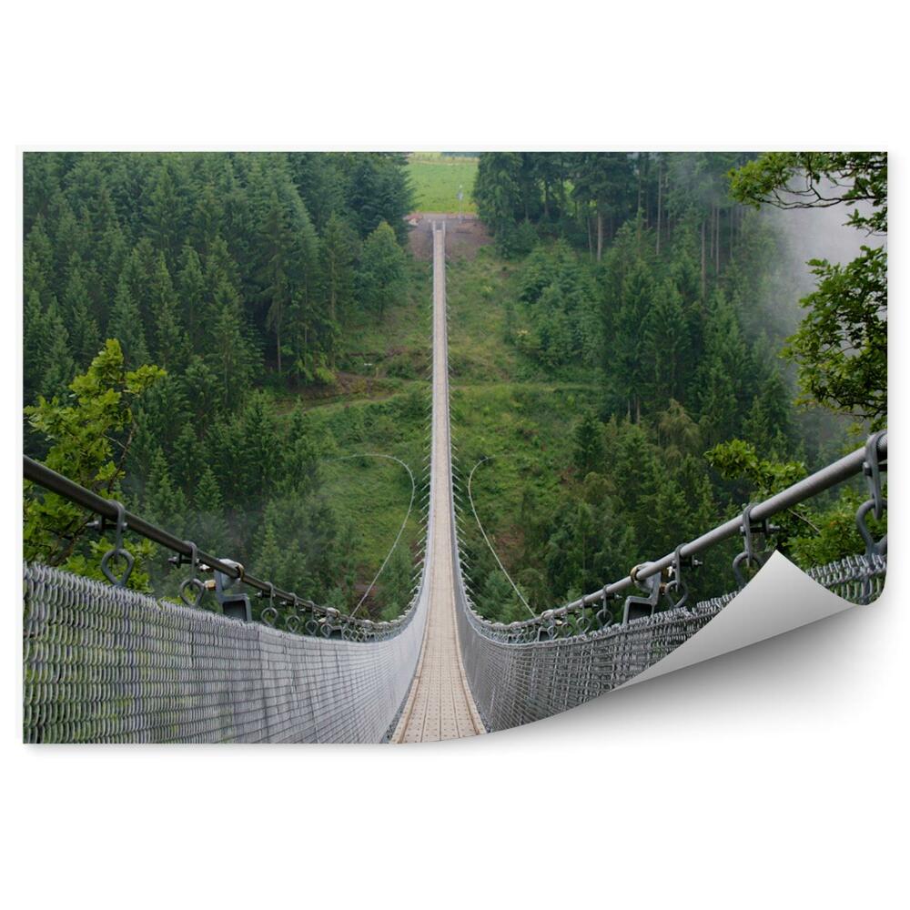 Papier peint Long pont suspendu au-dessus d'un précipice