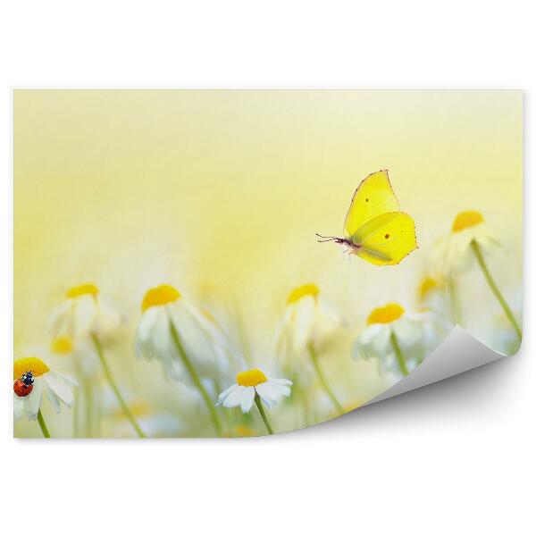 Papier peint Fleurs Pré ensoleillé Été Coccinelle Papillon