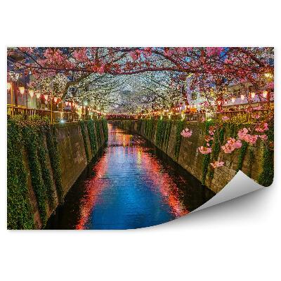 Papier peint Cerisiers en fleurs Lierre Lanternes Mur Rivière Japon Tokyo