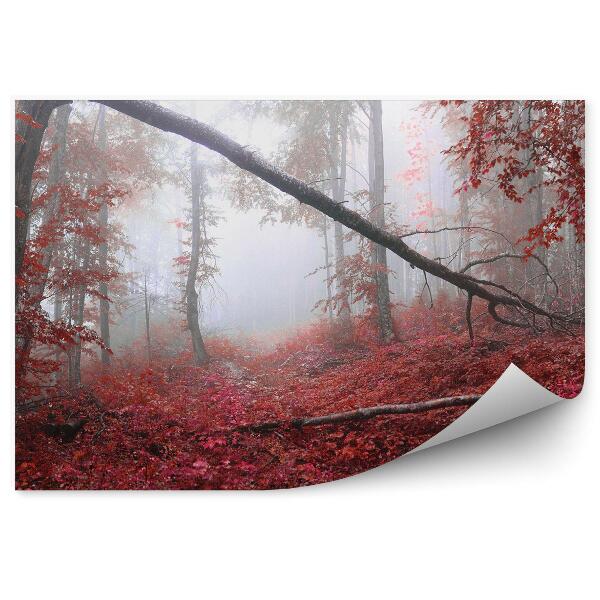 Papier peint Brume De Forêt De Feuillus Rouge