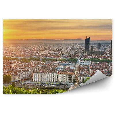 Papier peint Vue D'oiseau Ville Gratte-Ciel Arbres Plantes Coucher De Soleil Rivière