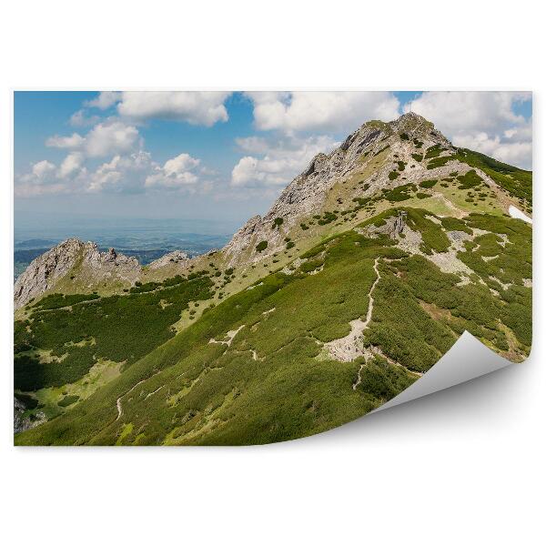 Papier peint Giewont Peaks Tatry Giewont Vegetation