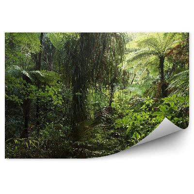 Papier peint Végétation verte de la jungle dense Nature