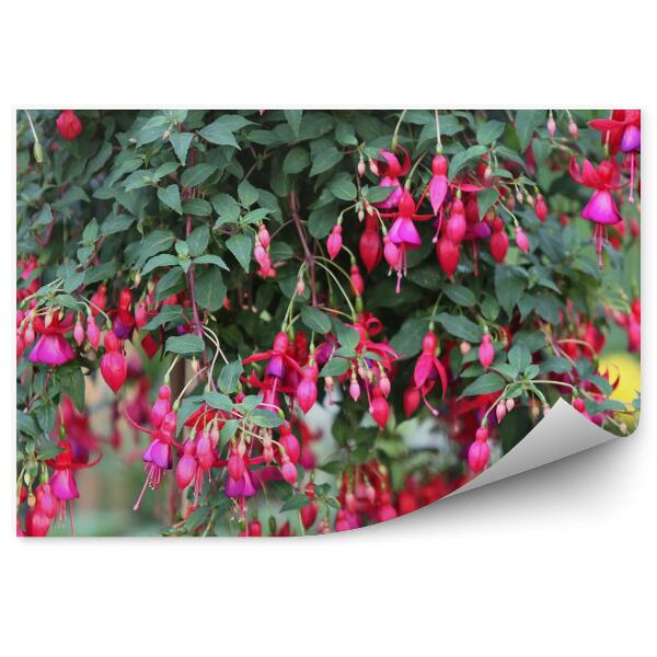 Papier peint Fleurs roses fuchsia feuilles vertes