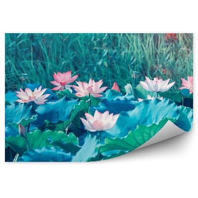 Papier peint Nénuphars en fleurs sur fond de prairie