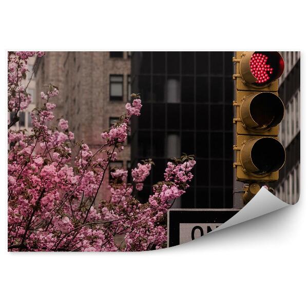 Papier peint Gratte-ciel Cerisiers en fleurs Arbres Panneaux de signalisation New York