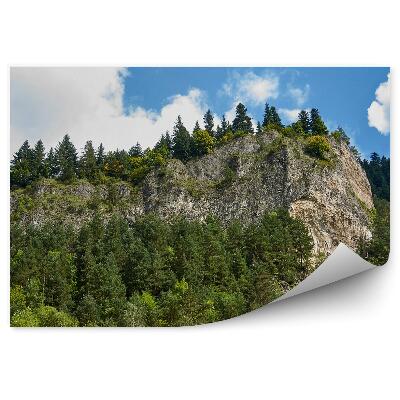 Papier peint Sokolica Pieniny Pic Montagneux Ciel Nuageux