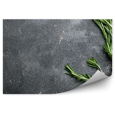Papier peint Romarin sur une base de béton foncé