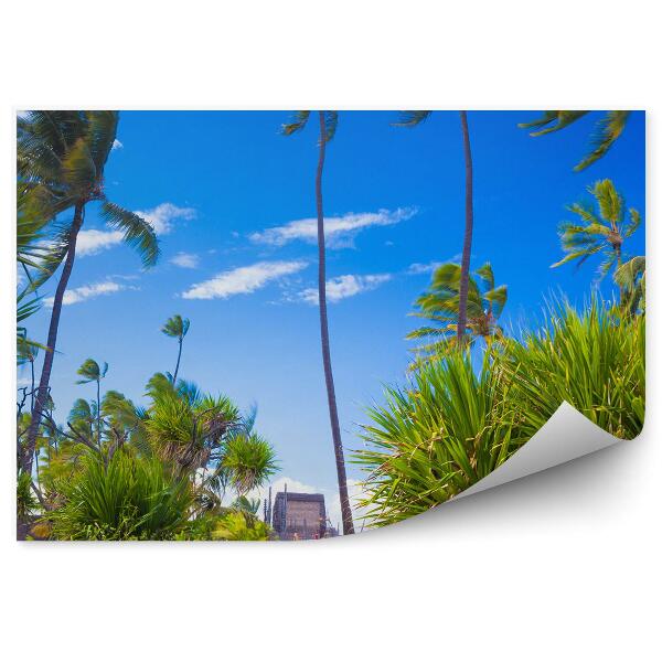 Papier peint Palmes Plantes Plage Océan Pierres Ciel Nuages Hawaii