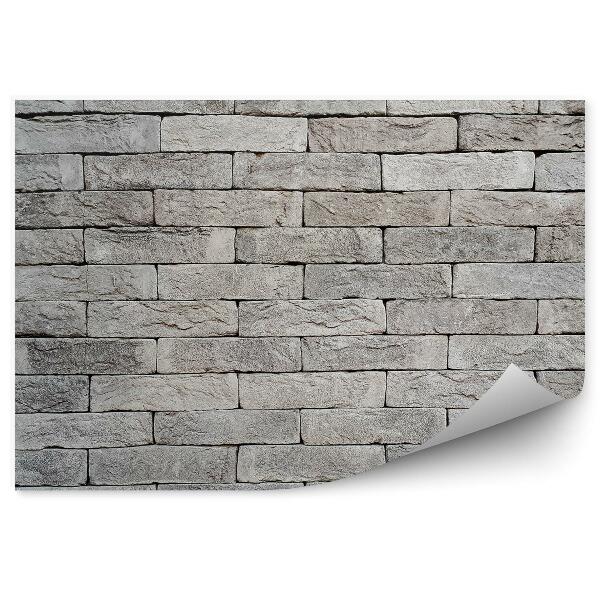 Papier peint Mur de briques grises