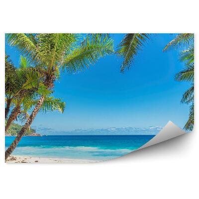 Papier peint Palmes Montagnes Plantes Plage Océan Mer Ciel Nuages