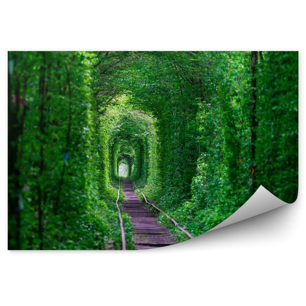 Papier peint Tunnel naturel arbres arbustes voies ferrées
