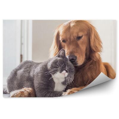 Papier peint Chat Anglais Chien Amis Se Reposant