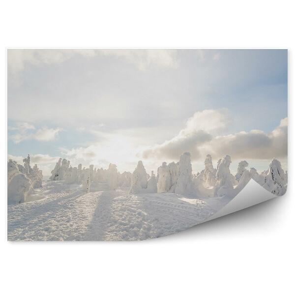 Papier peint Dôme D'hiver, Congères, Paysage Blanc