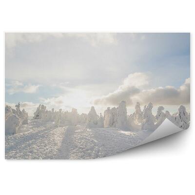 Papier peint Dôme D'hiver, Congères, Paysage Blanc