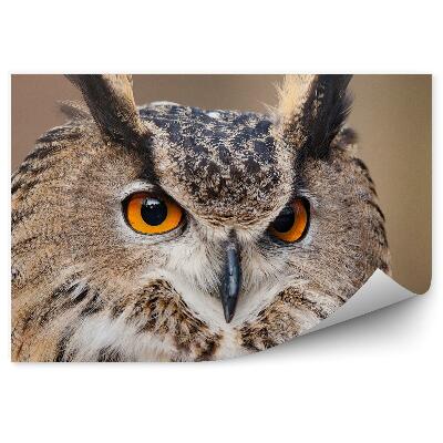 Papier peint Tête De Chouette Bubo Bubo
