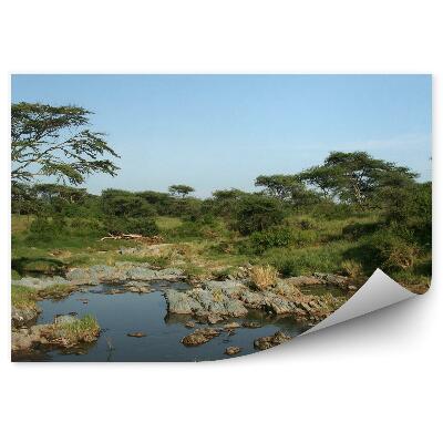 Papier peint Arbres Nature Pierres Rivière Ciel Tanzanie Afrique