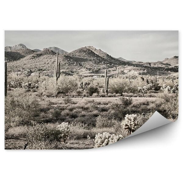 Papier peint Sepia Cactus Plantes Arbres Ciel Nuages Désert