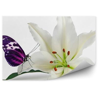 Papier peint Fleur de lys blanc violet papillon