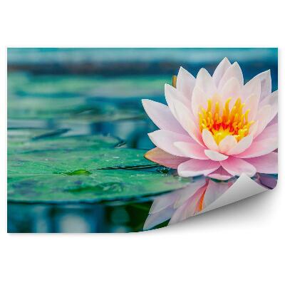 Papier peint Étang de nénuphars roses