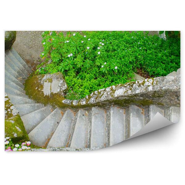 Papier peint Escalier en pierre dans le jardin buissons verts fleurs colorées