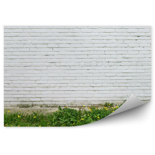 Papier peint Mur blanc Herbe Pissenlit Ville