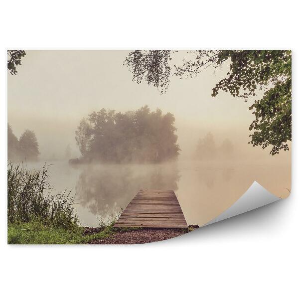 Papier peint Plateforme Terre Herbe Arbres Brume Lac